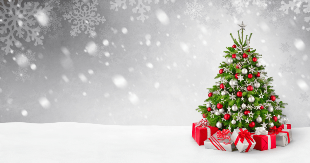 28_7 Best Places to Find Xmas Trees for Your Home This Holiday Season in 2024